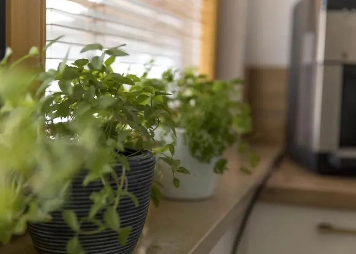 With 2 Bedrooms בית נופש *